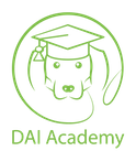 DAI academy